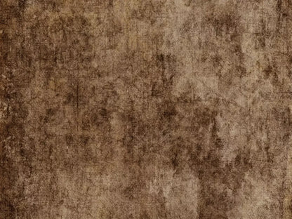 Dingy 68X5 Fleece ( 80 X 60 Inch ) Backdrop