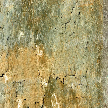 Dispatch 10X10 Ultracloth ( 120 X Inch ) Backdrop