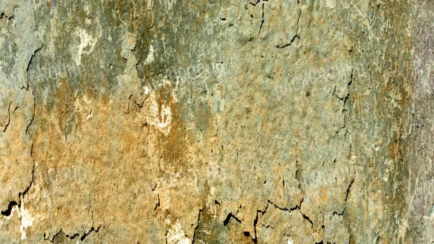 Dispatch 14X8 Ultracloth ( 168 X 96 Inch ) Backdrop