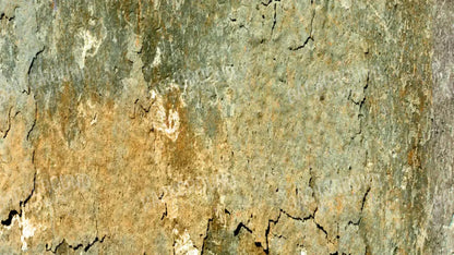 Dispatch 14X8 Ultracloth ( 168 X 96 Inch ) Backdrop