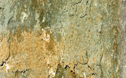 Dispatch 14X9 Ultracloth ( 168 X 108 Inch ) Backdrop