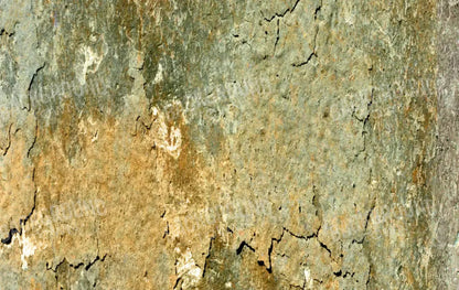 Dispatch 16X10 Ultracloth ( 192 X 120 Inch ) Backdrop