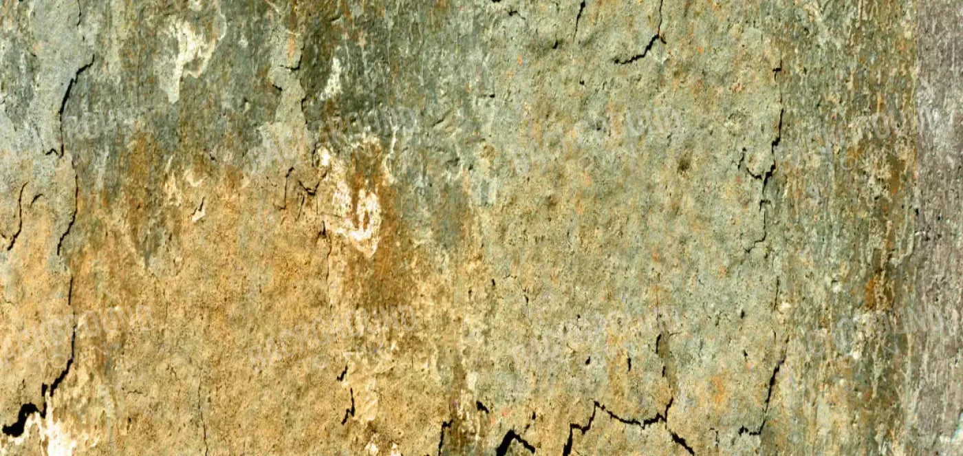 Dispatch 16X8 Ultracloth ( 192 X 96 Inch ) Backdrop