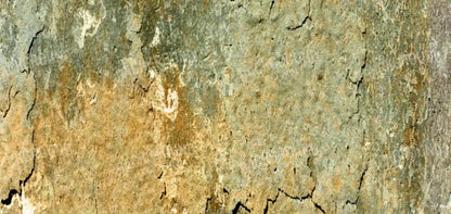 Dispatch 16X8 Ultracloth ( 192 X 96 Inch ) Backdrop