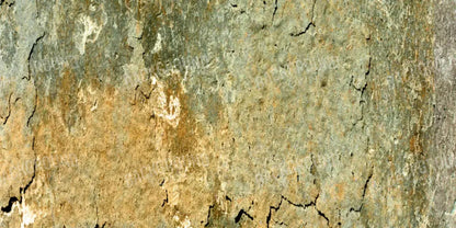 Dispatch 20X10 Ultracloth ( 240 X 120 Inch ) Backdrop