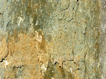 Dispatch 68X5 Fleece ( 80 X 60 Inch ) Backdrop