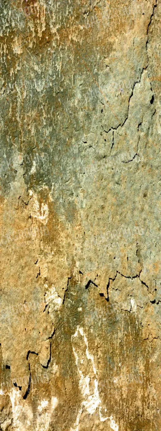 Dispatch 8X20 Ultracloth ( 96 X 240 Inch ) Backdrop