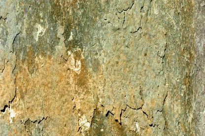 Dispatch 5X4 Rubbermat Floor ( 60 X 48 Inch ) Backdrop