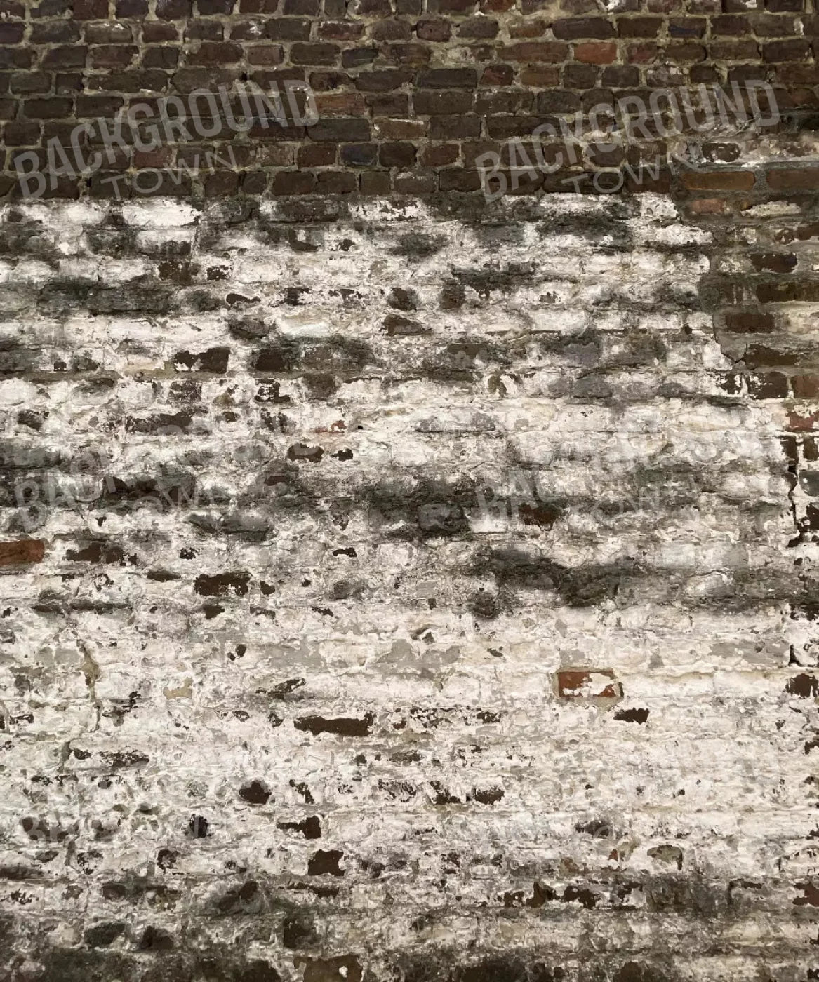 Beige Brick and Stone Backdrop for Photography