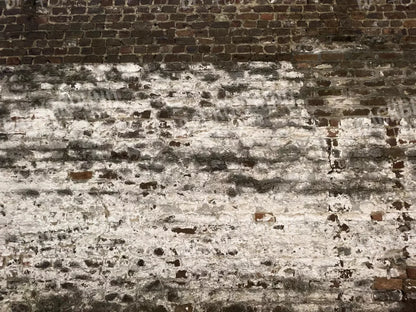 Distressed Brick 68X5 Fleece ( 80 X 60 Inch ) Backdrop