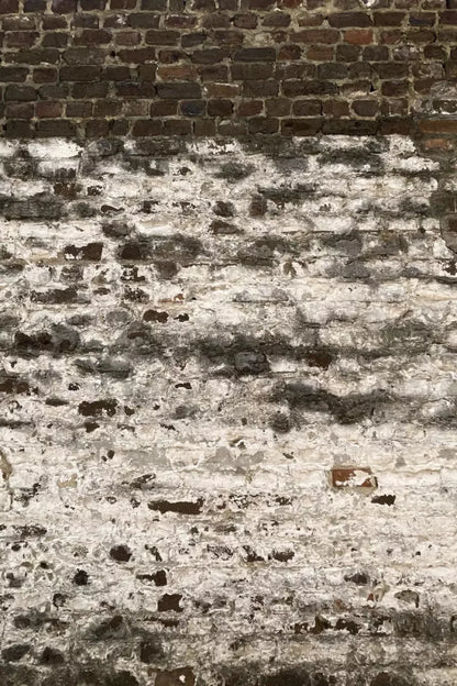 Distressed Brick Backdrop