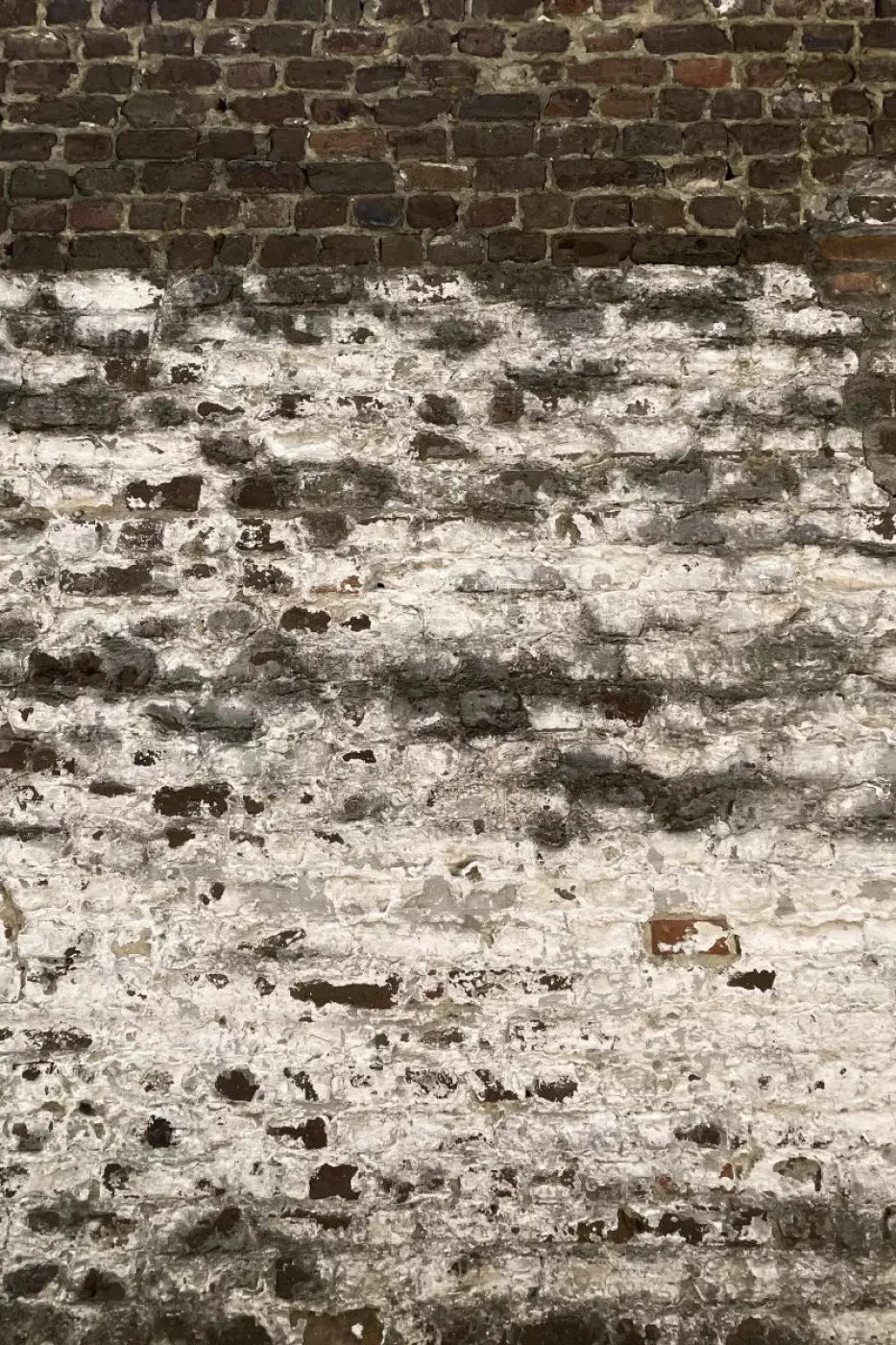 Distressed Brick Backdrop
