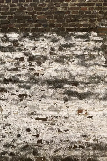 Distressed Brick Backdrop