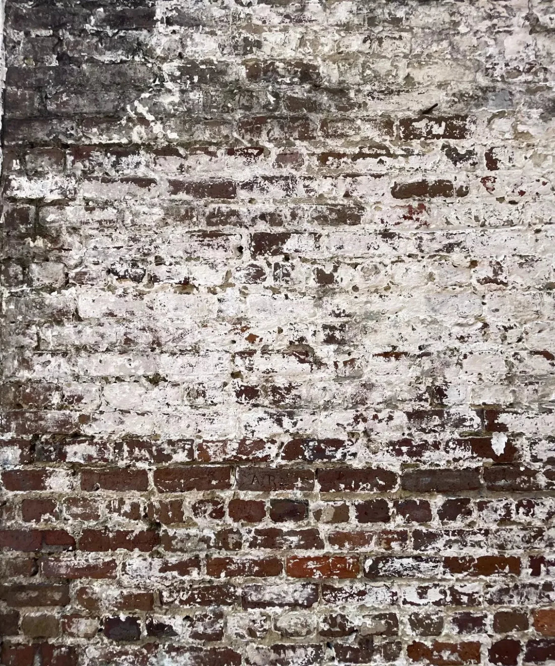 Beige Brick and Stone Backdrop for Photography