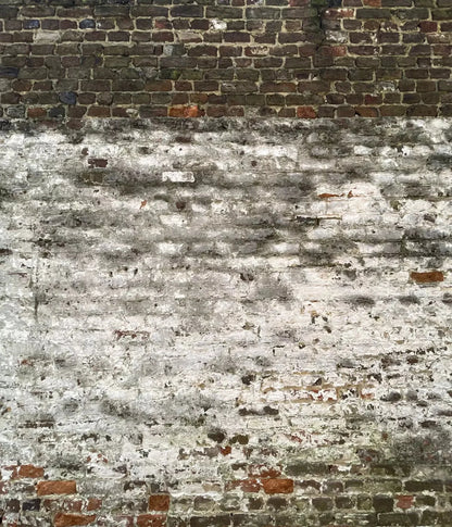 Distressed Wall 10X12 Ultracloth ( 120 X 144 Inch ) Backdrop