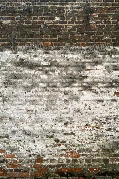 Distressed Wall 5X8 Ultracloth ( 60 X 96 Inch ) Backdrop