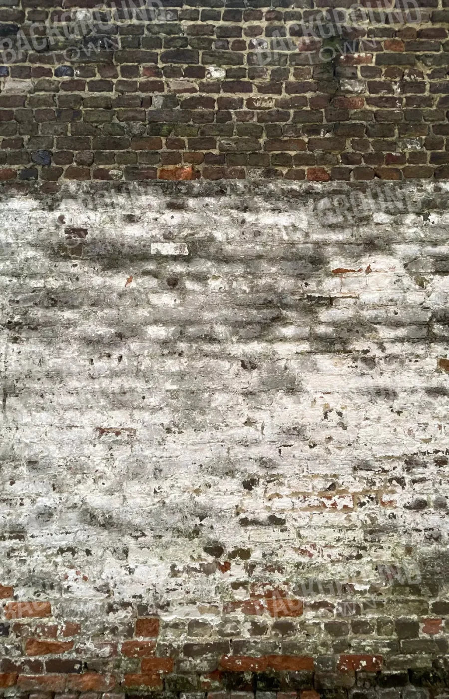 Distressed Wall 8X12 Ultracloth ( 96 X 144 Inch ) Backdrop