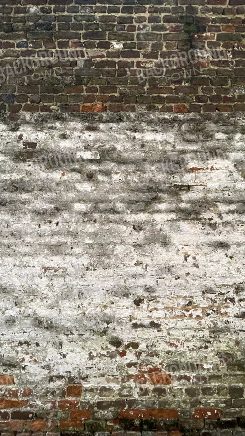 Distressed Wall 8X14 Ultracloth ( 96 X 168 Inch ) Backdrop