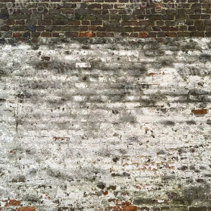 Distressed Wall 8X8 Fleece ( 96 X Inch ) Backdrop