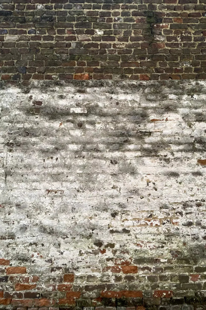 Distressed Wall Backdrop