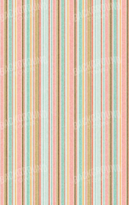 Dita 10X16 Ultracloth ( 120 X 192 Inch ) Backdrop