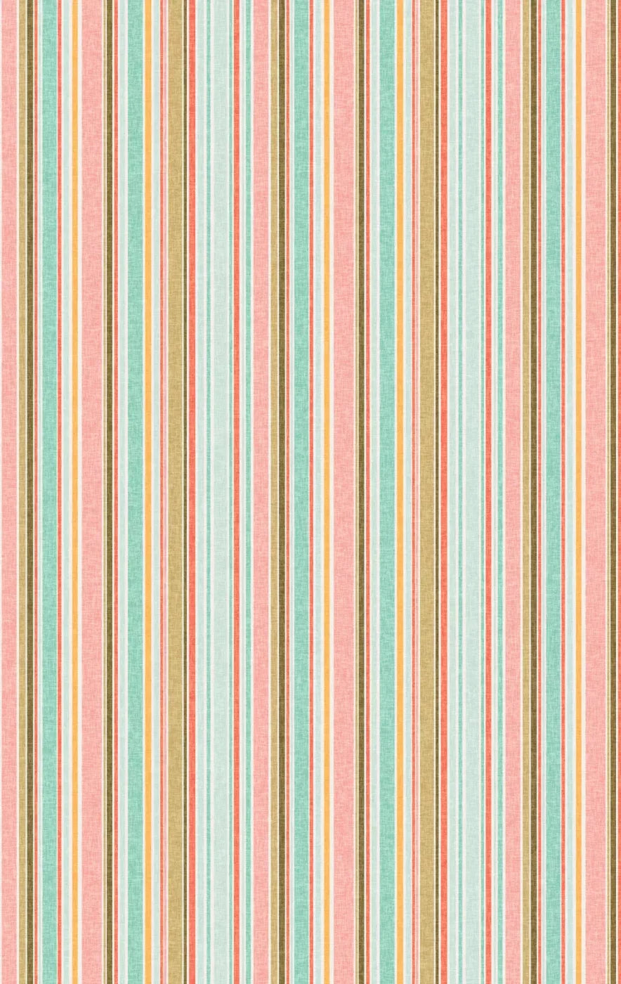 Dita 10X16 Ultracloth ( 120 X 192 Inch ) Backdrop