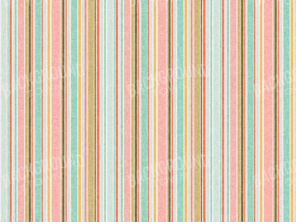 Dita 10X8 Fleece ( 120 X 96 Inch ) Backdrop