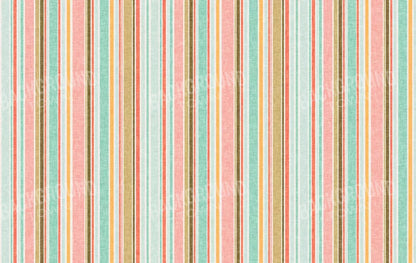 Dita 16X10 Ultracloth ( 192 X 120 Inch ) Backdrop