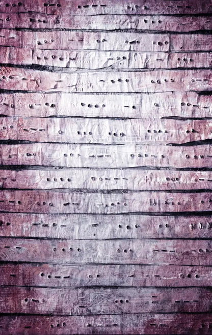 Ditto 10X16 Ultracloth ( 120 X 192 Inch ) Backdrop