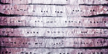 Ditto 20X10 Ultracloth ( 240 X 120 Inch ) Backdrop
