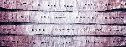 Ditto 20X8 Ultracloth ( 240 X 96 Inch ) Backdrop