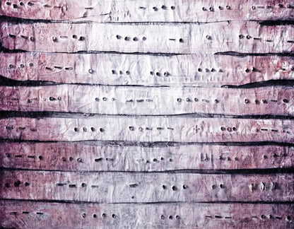 Ditto 8X6 Fleece ( 96 X 72 Inch ) Backdrop