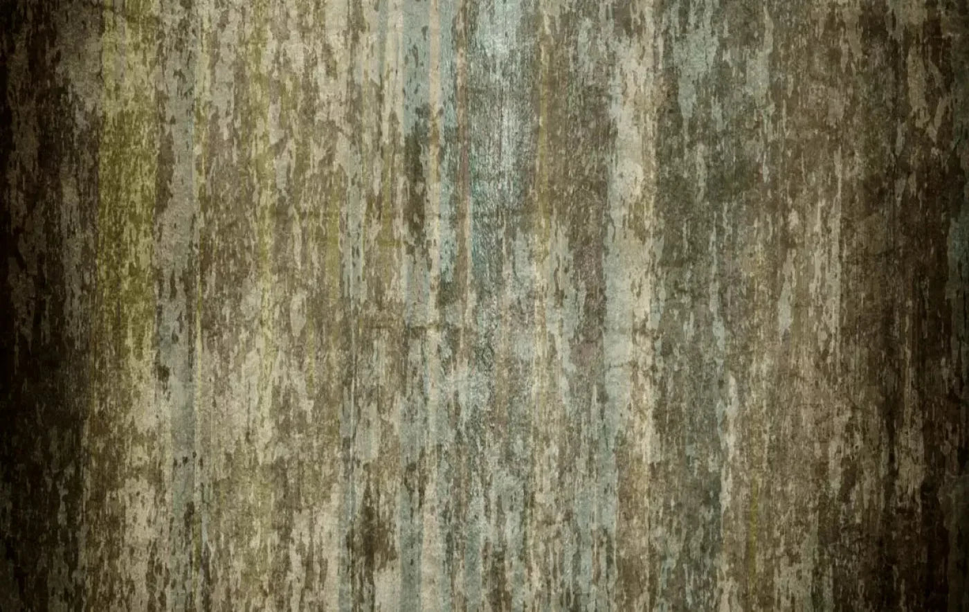 Diversion 16X10 Ultracloth ( 192 X 120 Inch ) Backdrop