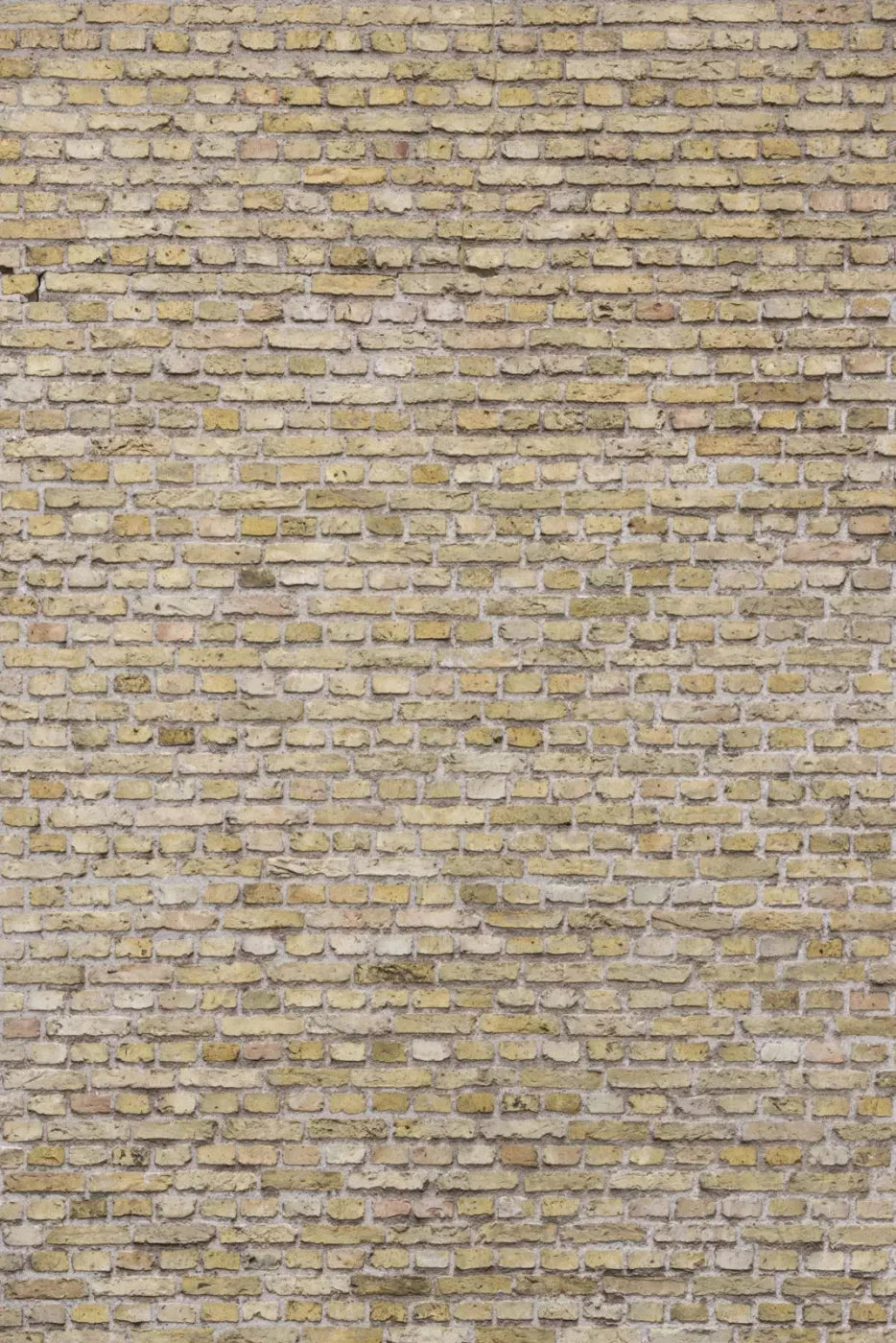 Divide Backdrop