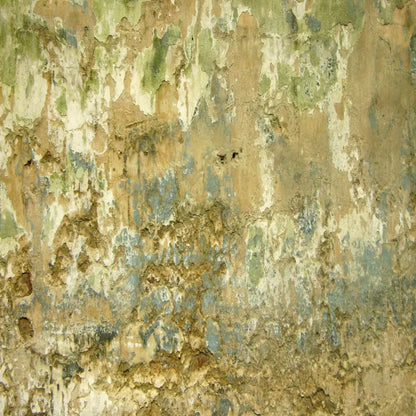 Dixon 10X10 Ultracloth ( 120 X Inch ) Backdrop