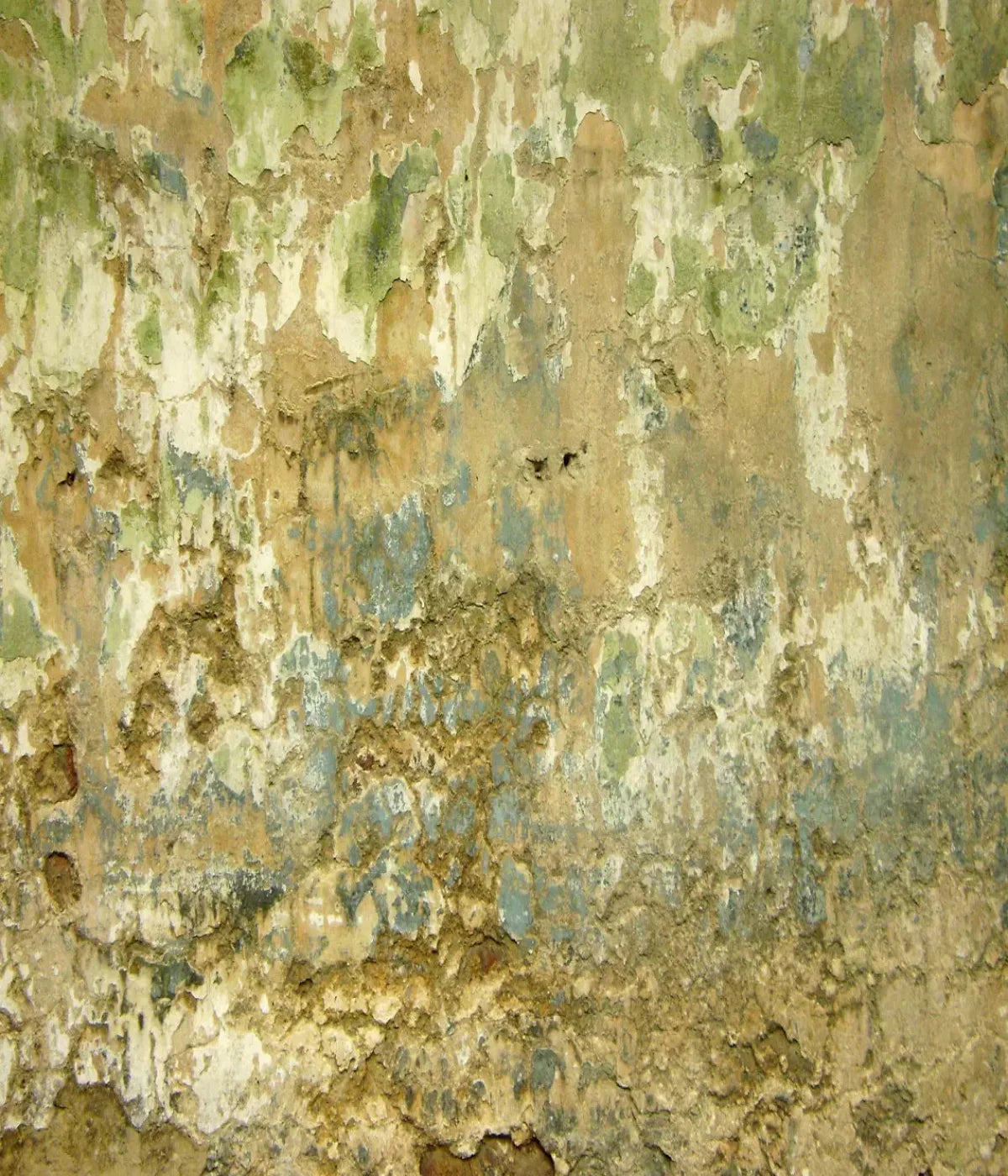 Dixon 10X12 Ultracloth ( 120 X 144 Inch ) Backdrop