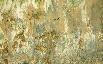 Dixon 14X9 Ultracloth ( 168 X 108 Inch ) Backdrop