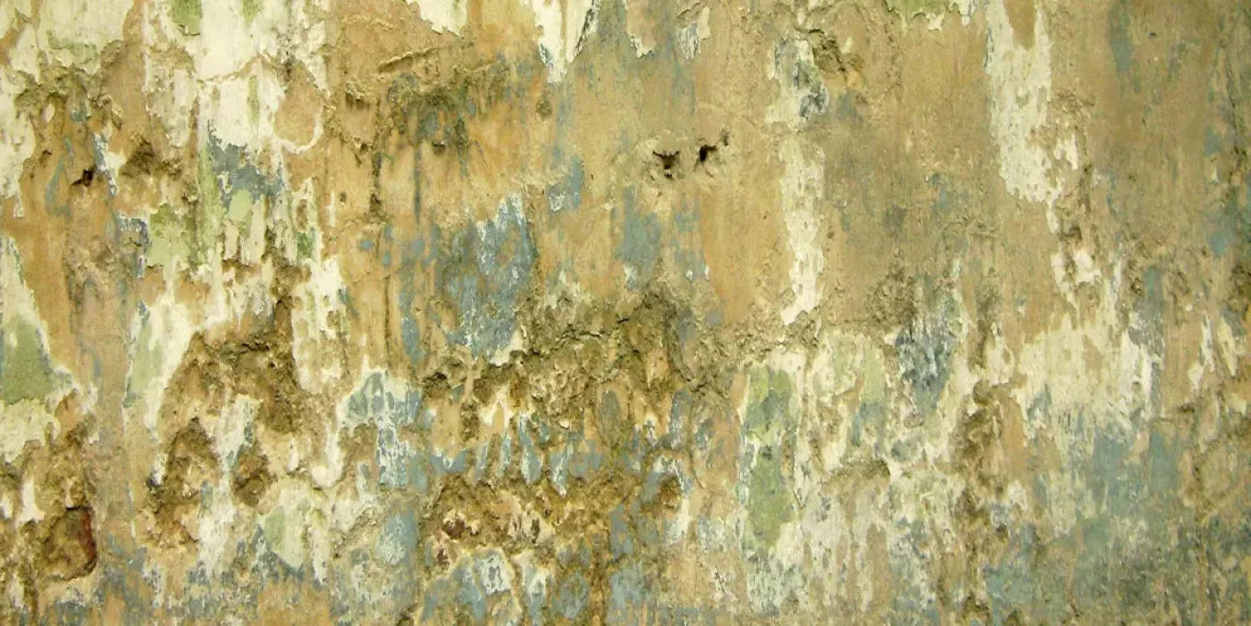 Dixon 20X10 Ultracloth ( 240 X 120 Inch ) Backdrop