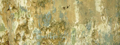 Dixon 20X8 Ultracloth ( 240 X 96 Inch ) Backdrop