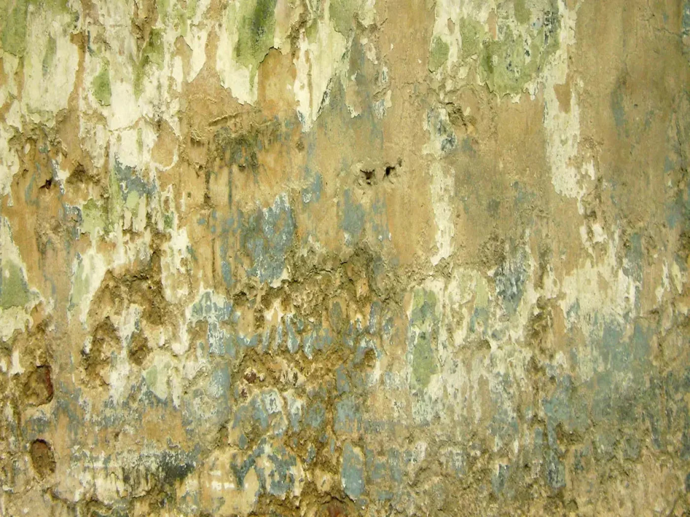Dixon 68X5 Fleece ( 80 X 60 Inch ) Backdrop
