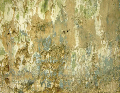 Dixon 8X6 Fleece ( 96 X 72 Inch ) Backdrop