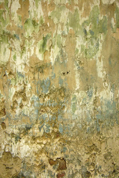 Dixon Backdrop