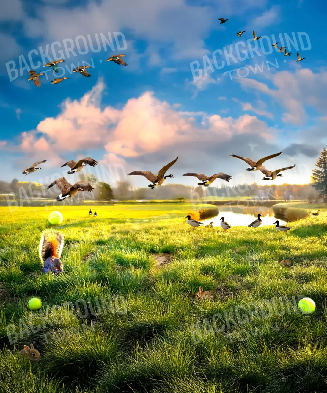 Green Pet Backdrop for Photography