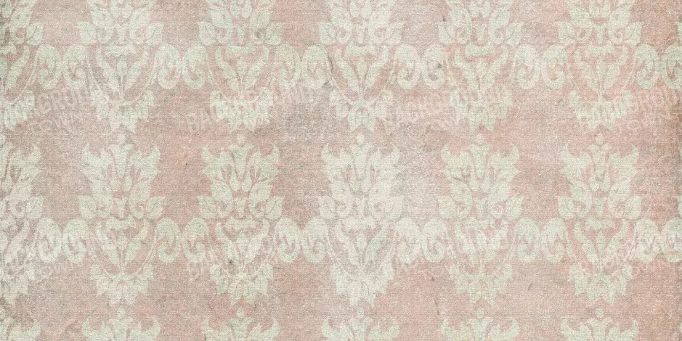 Doily 20X10 Ultracloth ( 240 X 120 Inch ) Backdrop