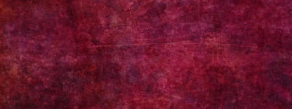 Dolly 20X8 Ultracloth ( 240 X 96 Inch ) Backdrop