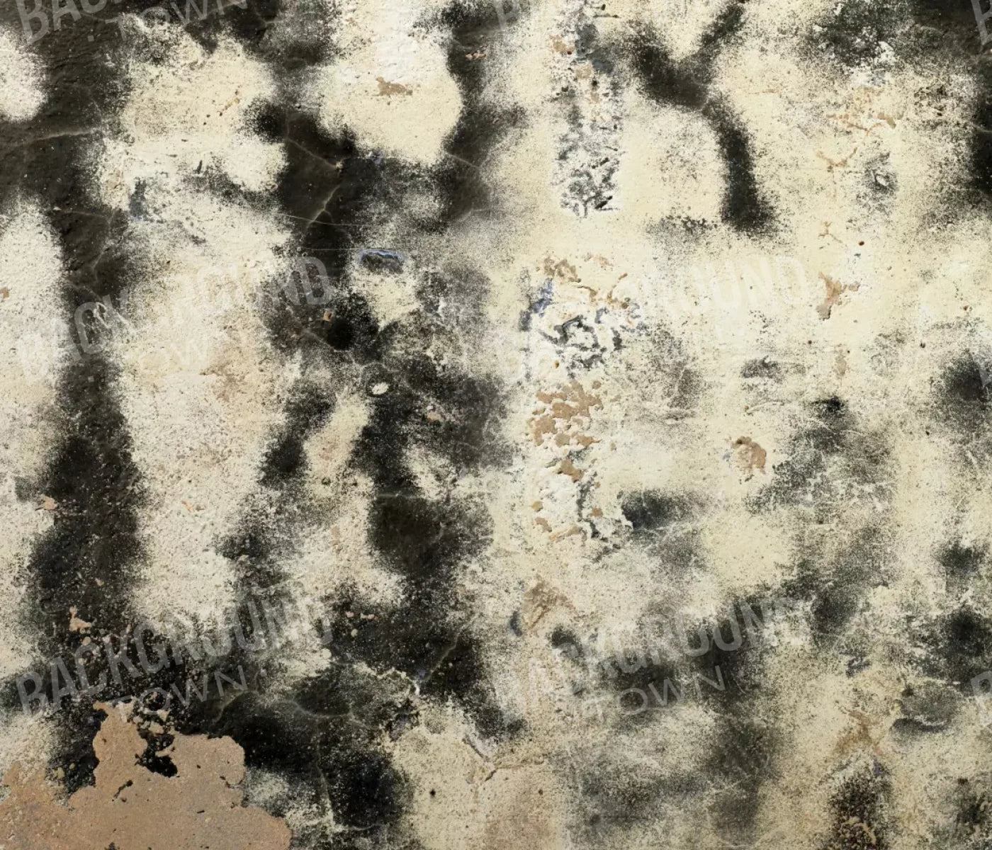 Domain 12’X10’ Ultracloth (144 X 120 Inch) Backdrop