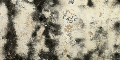 Domain 20’X10’ Ultracloth (240 X 120 Inch) Backdrop