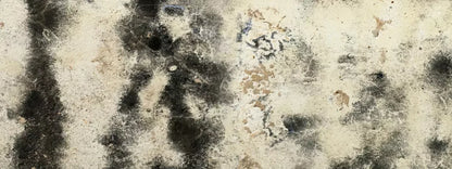 Domain 20’X8’ Ultracloth (240 X 96 Inch) Backdrop