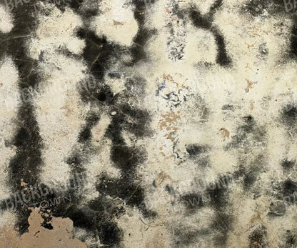 Domain 5’X4’2’’ Fleece (60 X 50 Inch) Backdrop