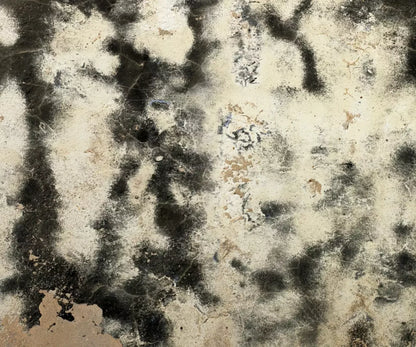 Domain 5’X4’2’’ Fleece (60 X 50 Inch) Backdrop